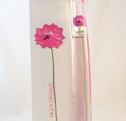 Night Dreams Perfume Women 100ml